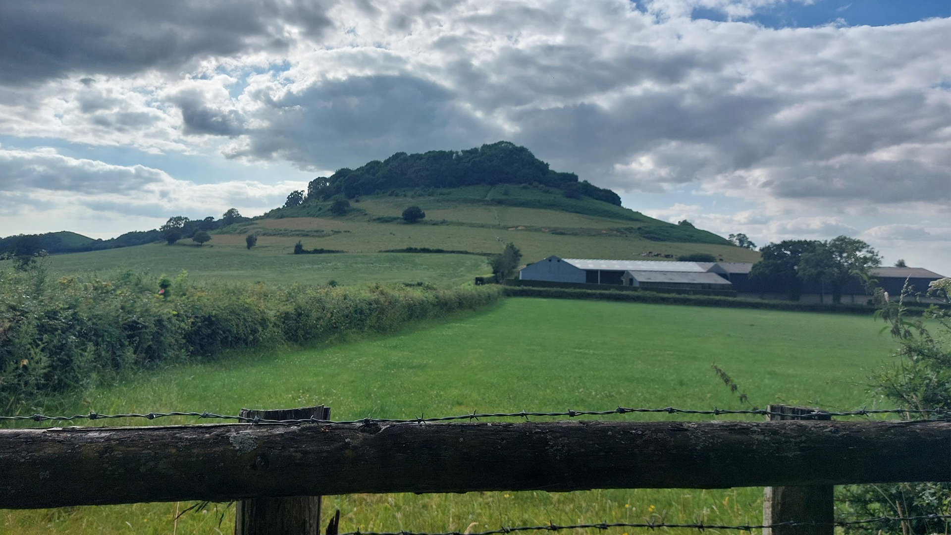 A view of grassy hills on Tony's trail.